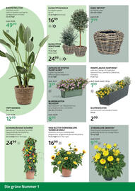 Bellaflora Flugblatt Seite 4