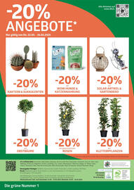Bellaflora Flugblatt Seite 8