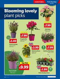 Lidl leaflet week 22 Page 21