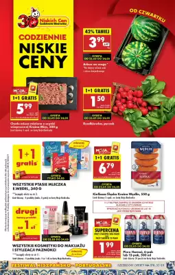 Biedronka gazetka