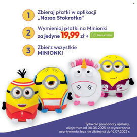 Stokrotka Market gazetka Strona 43