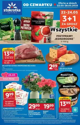 Stokrotka Optima gazetka
