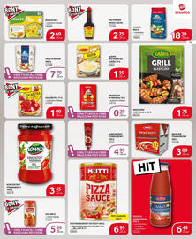 Selgros gazetka Strona 13