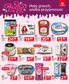 Selgros gazetka Strona 45