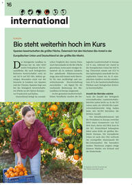 Lagerhaus Flugblatt Seite 16