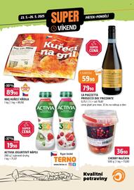 Terno leták Strana 1