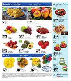 Pavilions Weekly Ad week 21 Page 8