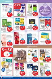 Budni Prospekt woche 23 Seite 5