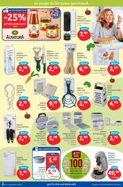 Budni Prospekt woche 23 Seite 7