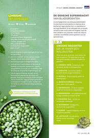 Alvo folder Pagina 31