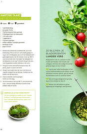 Alvo folder Pagina 32
