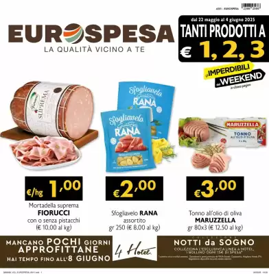Volantino Eurospesa (valido fino al 4-06)