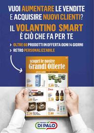 Volantino Gruppo di Palo Pagina 40