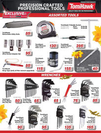 AutoZone catalogue Page 29