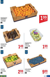 Metro Flugblatt Seite 15