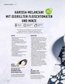 Hofer Flugblatt Seite 12