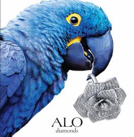 Alo diamonds leták Strana 1