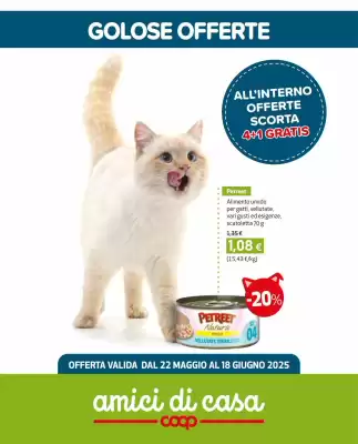 flyer-cover