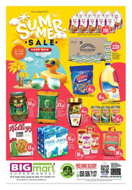 Bigmart catalogue Page 1