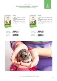 Volantino Cliffi Pagina 61