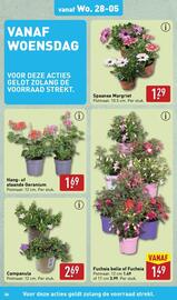 ALDI folder week 22 Pagina 36