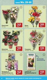 ALDI folder week 22 Pagina 37