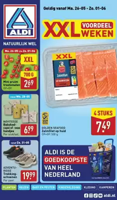 ALDI folder (geldig t/m 1-06)