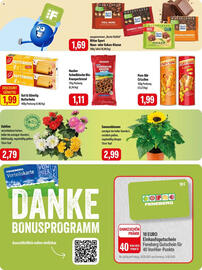 Feneberg Prospekt Seite 13