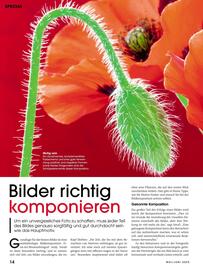 Ringfoto Prospekt Seite 14