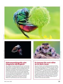 Ringfoto Prospekt Seite 21