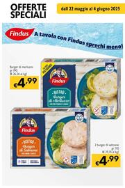 Volantino Maxi Supermercati Pagina 21