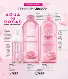 Catálogo Violetta Fabiani Página 14