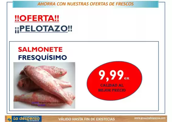 Folleto La Despensa Express (válido hasta el 9-06)