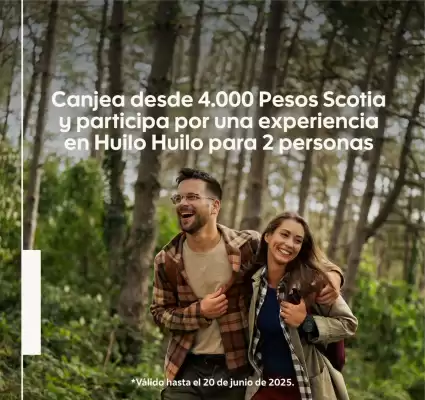 Catálogo Banco del Desarrollo (válido hasta 20-06)