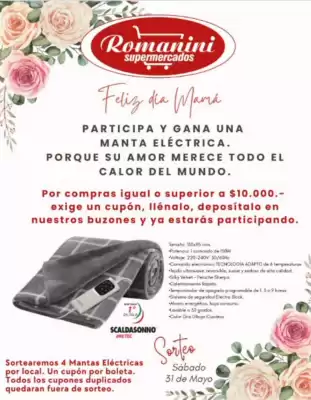 Catálogo Supermercados Romanini (válido hasta 31-05)