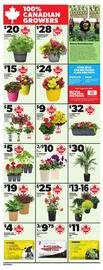Independent City Market flyer Page 10