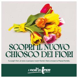 Volantino Iper La Grande Pagina 29