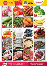 Shaklan catalogue Page 2