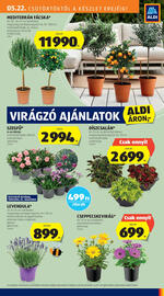 ALDI akciós újság hét 21 Oldal 31