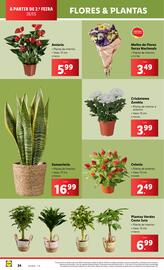 Folheto Lidl | novidades Página 24