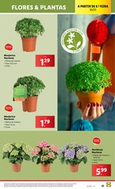 Folheto Lidl | novidades Página 25