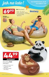 Biedronka gazetka Strona 17