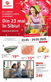 Catalog Selgros săptămâna 21 Pagină 1