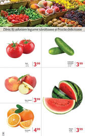 Catalog Selgros săptămâna 21 Pagină 4
