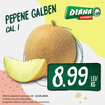 Catalog Diana Supermarket
