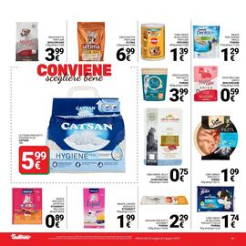 Volantino Supermercati Gulliver Pagina 19