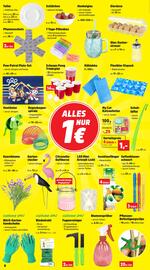 Thomas Philipps Prospekt woche 22 Seite 8