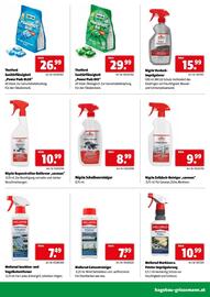Der Grissemann Flugblatt Seite 29