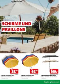 Der Grissemann Flugblatt Seite 37