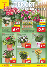 Netto Marken-Discount Prospekt woche 22 Seite 8